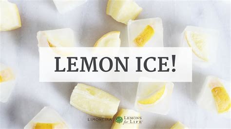 Can i withdraw methamphetamine myself at home? How To Make Lemon Ice-Cubes 2 Ways! | Detox + Cleanse ...