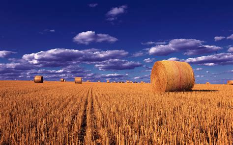 Straw Balls Wheat Field Sky So Clouds Montana Photo Landscape Desktop Wallpaper Hd For Laptop ...