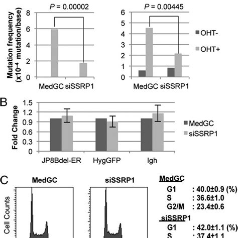ssrp1 depletion inhibits shm cells treated with either anti ssrp1 1 download scientific