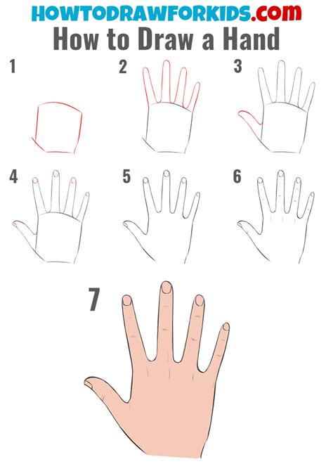 How To Draw A Human Hand Repairshe