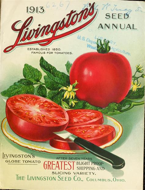 1913 tomato seed packet #doll#doll #packet #seed #tomato ...
