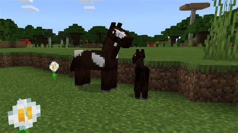Minecraft Horses Information Areas And Methods To Tame Them Gta