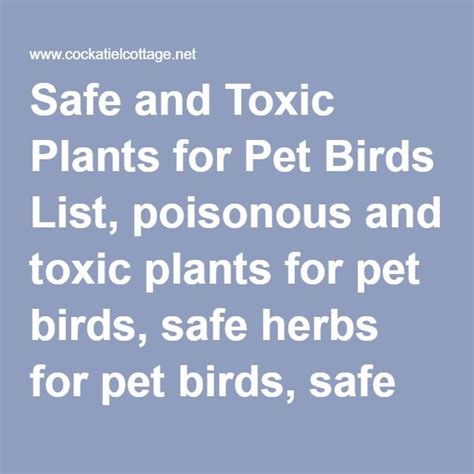 Pet birds are beautiful, intelligent creatures and welcoming one of these feathered treasures into your home is an exciting privilege. Safe and Toxic Plants for Pet Birds List, poisonous and ...