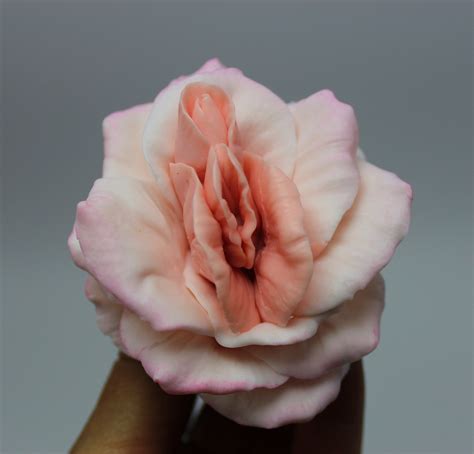 Vagina Rose Silicone Mold Yoni Mold Vulva Mold Etsy