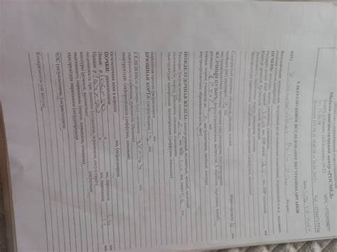 Не могу сбросить вес уже год