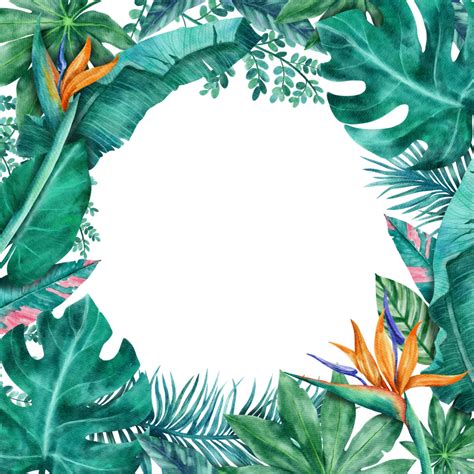botanical tropical leaves frame watercolor 22613039 png