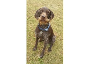 Browse top dog services like dog walking, sitting and boarding, training and more! 3 Best Dog Walkers in Norfolk, VA - Expert Recommendations