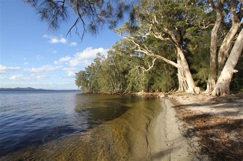 Myall Lakes National Park Big Lap Australia 2012 2013