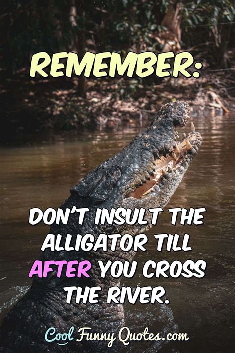 Remember Dont Insult The Alligator Till After You Cross The River