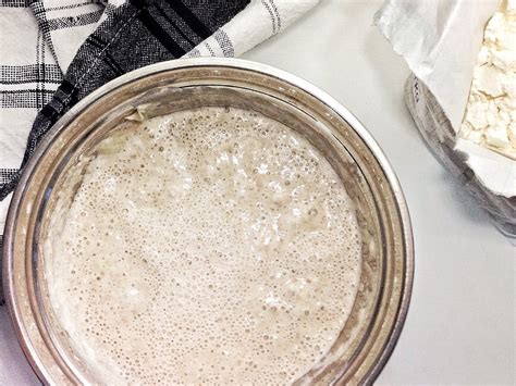 Последние твиты от pan en casa (@panncasa). Masa madre para elaborar pan en casa | Cocina