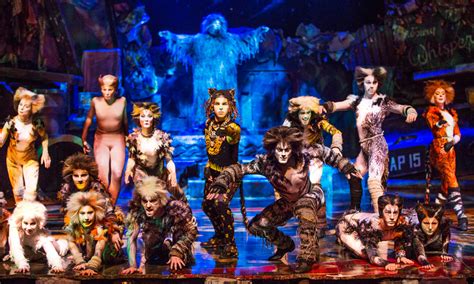 Jellicle cats cat movie cats musical cat makeup tabby cats jungle safari theatre trail twins. Review: Cats the Musical - InDaily