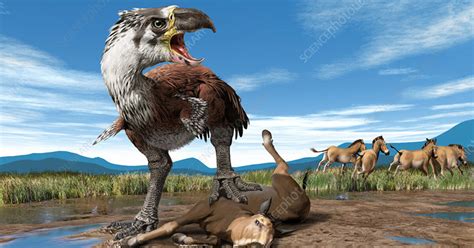 The Terror Bird Was A Bone Smashing Beast That Once Roamed The Americas