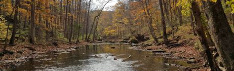 Glen Helen Little Miami And Clifton Gorge Ohio Alltrails