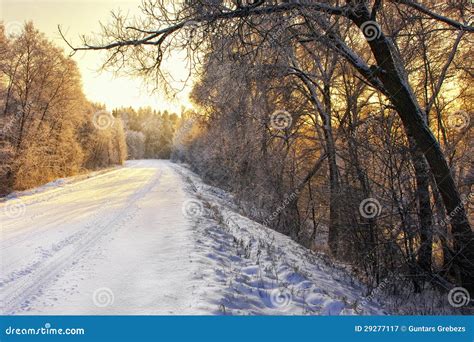 Country Road In Winter Stock Image Image Of Blue Landscape 29277117