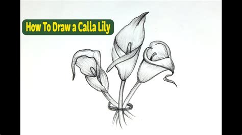 How To Draw A Calla Lily Step By Step For Beginners How To Draw