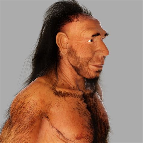 Neanderthal Male 3d Model 119 Max Obj Ztl Free3d