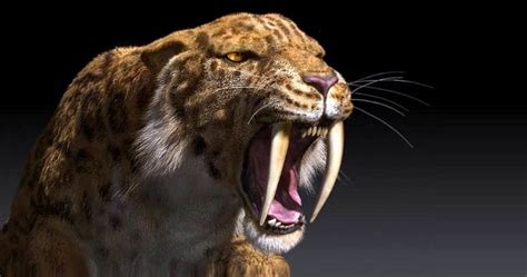 Top 10 Extinct Animals That Scientists Want To Bring Back