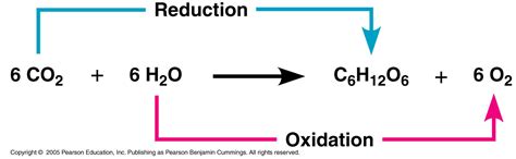 In the first photosystem, these electrons are used to generate atp. Equation For Light Reaction - Tessshebaylo