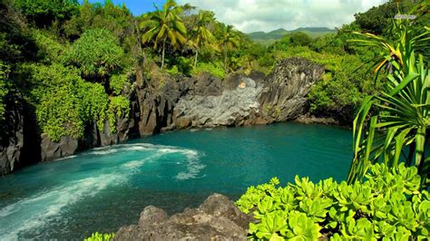 Maui Hawaii Bing Images