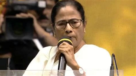 New delhi, may 02 (ani): মমতার ছবি 'ঝড় থেমে যাবে একদিন' ২৪ ঘণ্টাতেই বাজিমাত, কত ...