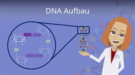 Sie liefern also den bauplan für einzelne virusproteine. DNA Aufbau · Chromosomen, Nukleotid, DNA Doppelhelix ...