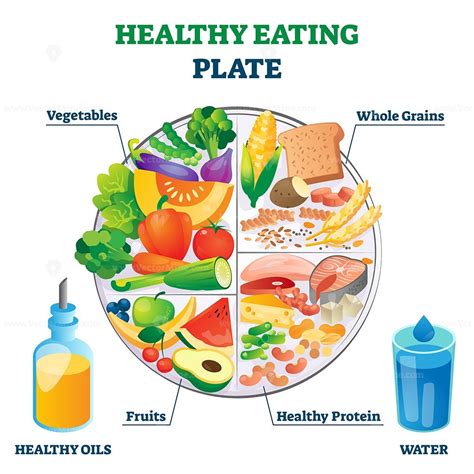 Healthy Eating Plate Vector Illustration Vectormine