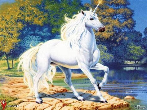 White Unicorn Wallpaper