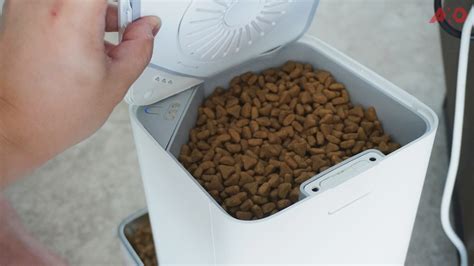 Xiaomi Smart Pet Food Feeder Review Never Miss Another Meal Time