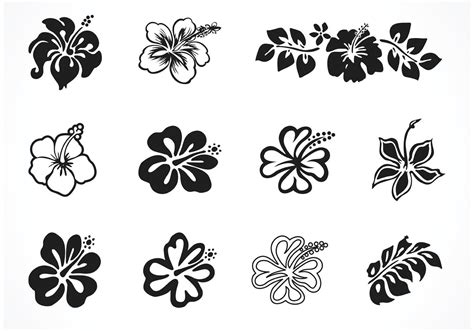 Vector Hibiscus Silhouettes Choose From Thousands Of Free Vectors