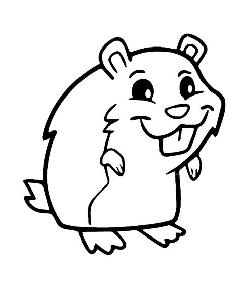 Desenhos De Hamster Para Colorir 100 Desenhos Para Colorir
