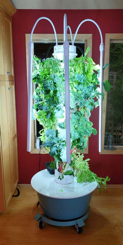 Juice Plus Tower Garden Canada Save Space And Grow Everything With A