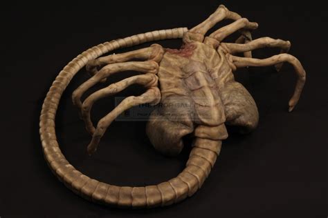 The Prop Gallery Facehugger