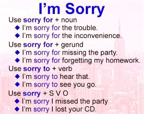 Im Sorry English Words Learn English English Phrases