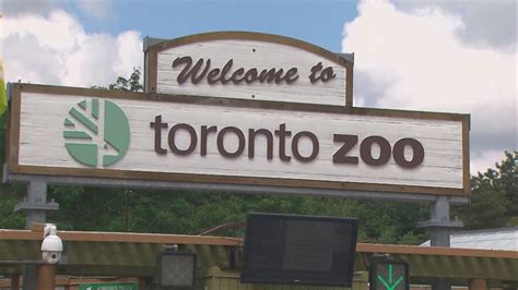 A Much Different Toronto Zoo Reopens To The Public Today After Months