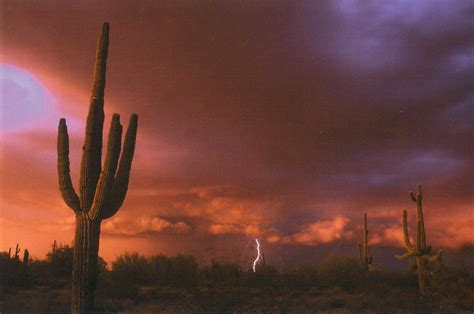 Arizona Desert Lightning Postcard Approaching Storm