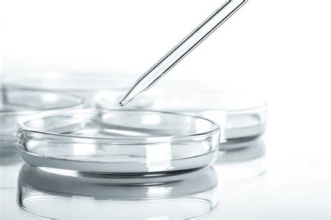 Nordic Bioproducts Group Completed A 30 Million Euro Financing Round