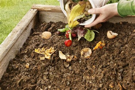 Can I Use Just Compost In A Raised Bed