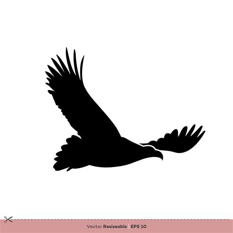 Eagle Bird Silhouette Vector Logo Template Illustration Design