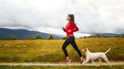 Workout With Your Dog The Goodlife Fitness Blog