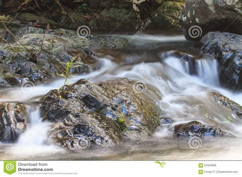 Waterfall And Rocks Covered With Moss Stock Image Image Of Wood Cool