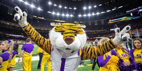 Lsu Mike The Tiger Mascot To Star In Feature Film Report Says