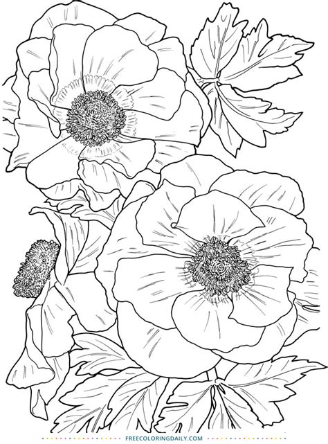 Free Gorgeous Floral Coloring Free Coloring Daily