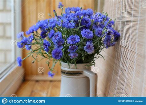 Bouquet Of Wild Blue Cornflowers In A Vaseby The Window Blurred