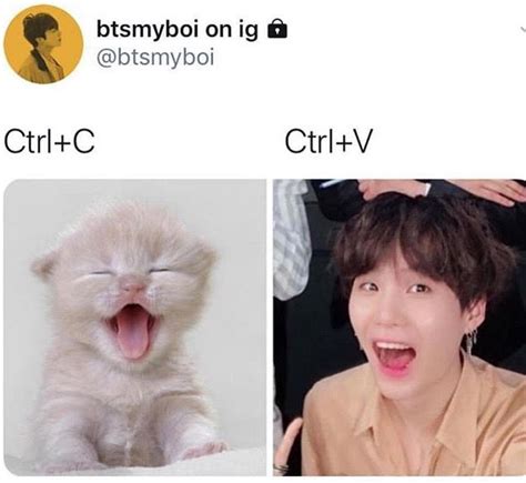 Here Are 20 Adorable Pictures Of Btss Suga As Iconic Cat Memes Koreaboo