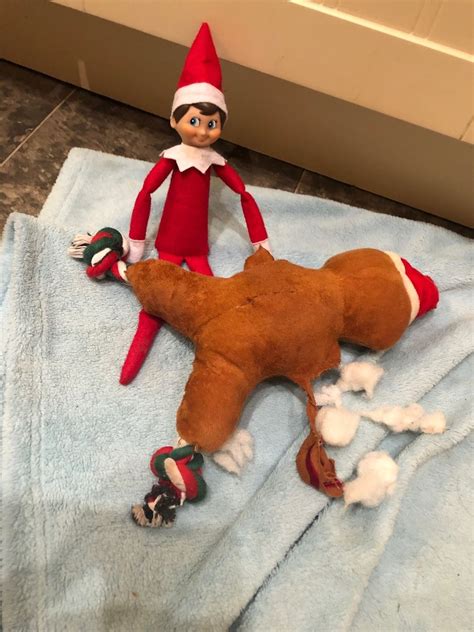 Naughty Elf On The Shelf Ideas For Christmas North Wales Live
