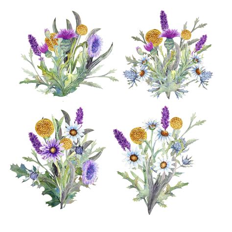 Wild flowers watercolor (173443) | Dingbats | Font Bundles