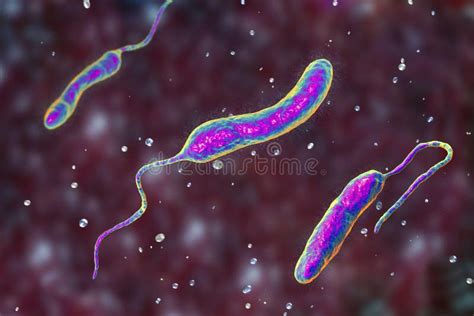 Vibrio Cholerae Bacteria 3d Illustration Stock Illustration