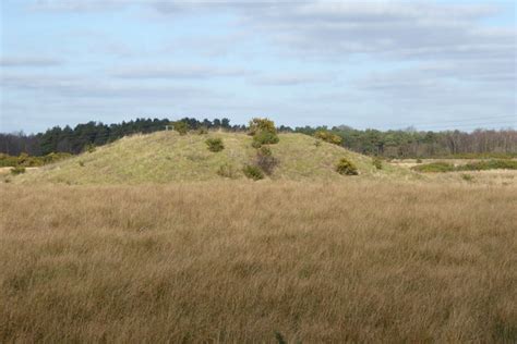 Mound On Padworth Common © Shazz Cc By Sa20 Geograph Britain And