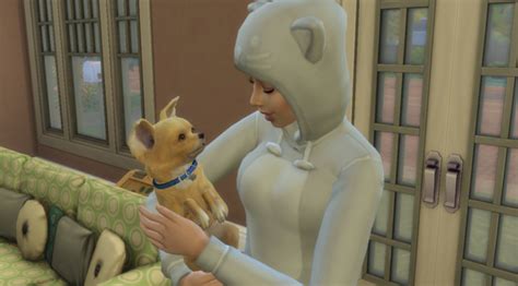 The Sims 4 Cats And Dogs Playable Pets Mod Simsvip