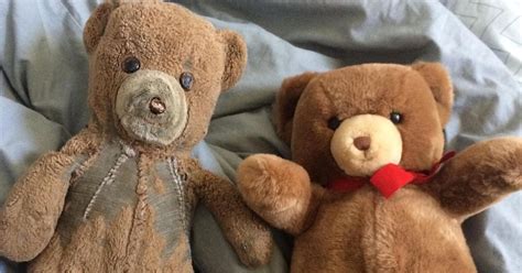 Two Teddy Bears Purchased 30 Years Ago Show The Difference Years Of